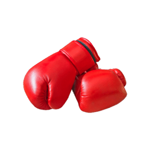 Boxing Glove